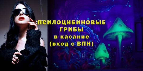 индика Волоколамск