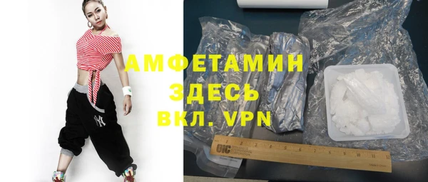 индика Волоколамск