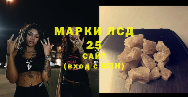 индика Волоколамск