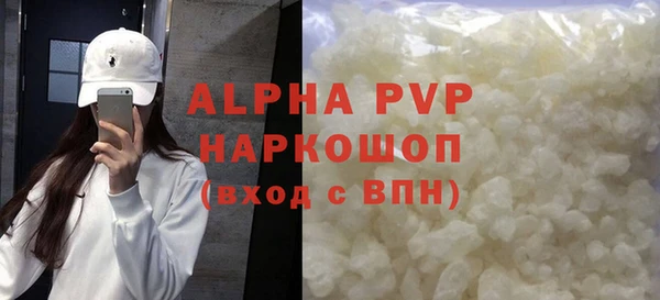 индика Волоколамск