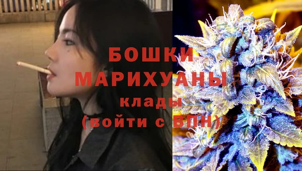 индика Волоколамск