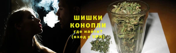 индика Волоколамск
