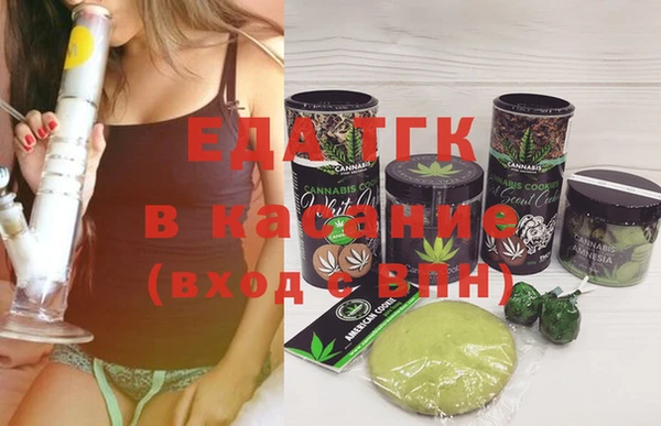 индика Волоколамск