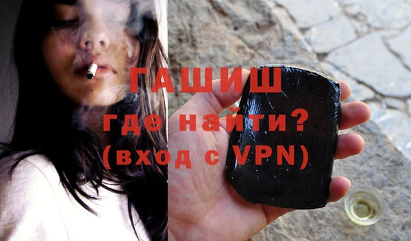 индика Волоколамск