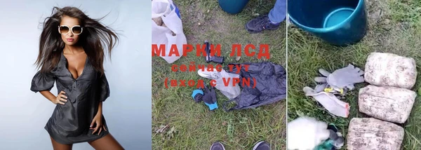 индика Волоколамск