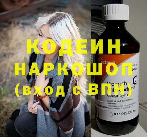 индика Волоколамск