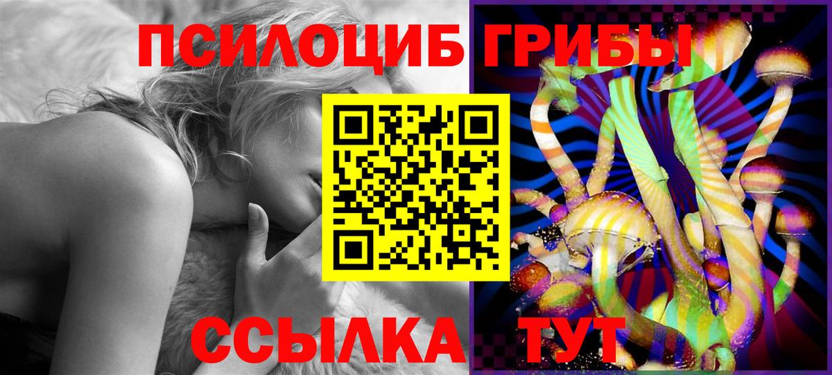 Галлюциногенные грибы Psilocybine cubensis Елец