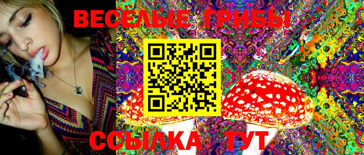 Экстази  МЕТАМФЕТАМИН  Марихуана  КОКАИН  Елец  Меф МЯУ МЯУ кристаллы  Гашиш  ГАШ  Вход с VPN 