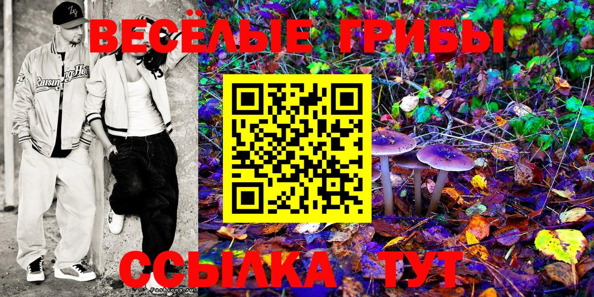 Псилоцибиновые грибы Cubensis  Галлюциногенные грибы ЛСД  Вход с VPN  где можно купить наркотик  Елец 